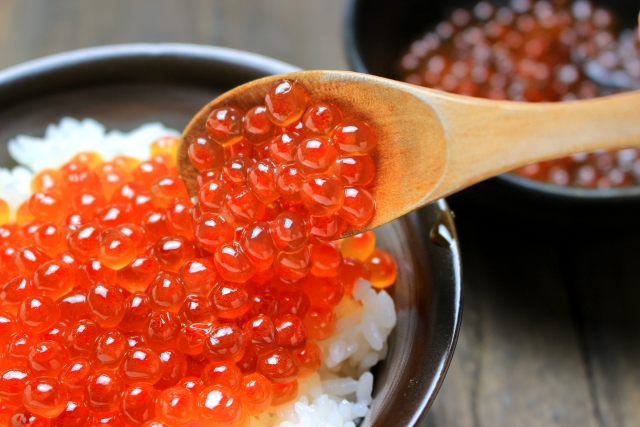 food写真2